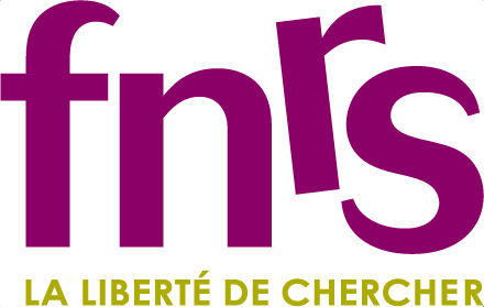 logo fns